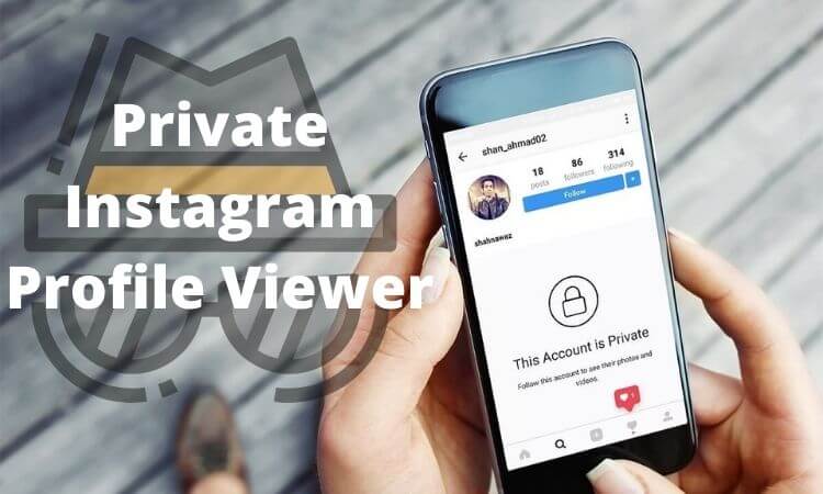 Best Instagram Private Profile Viewer Apk 2022 Complete Guide and Reviews