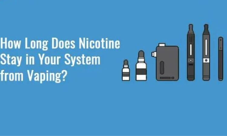 How Long Does Nicotine Stay in Your System Everything You Need to Know