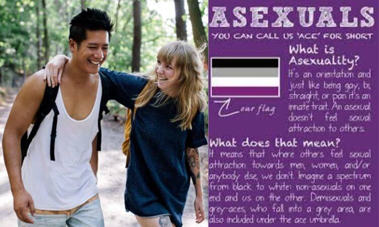 What is Asexual Everything You Need To Know