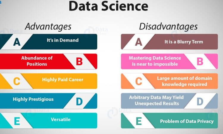 What is a Data Scientist What Do They Do