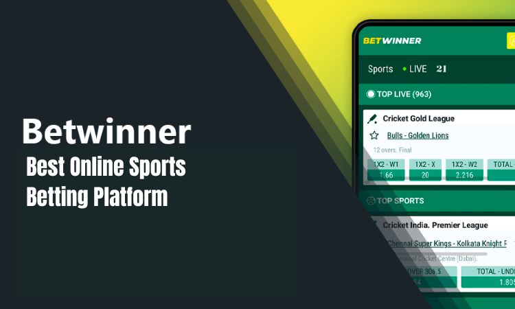 BetWinner Best online sports betting platform in 2023