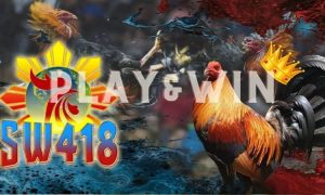 Sw418 Login (Dashboard) Sabong Online Registration Complete Guide 2022