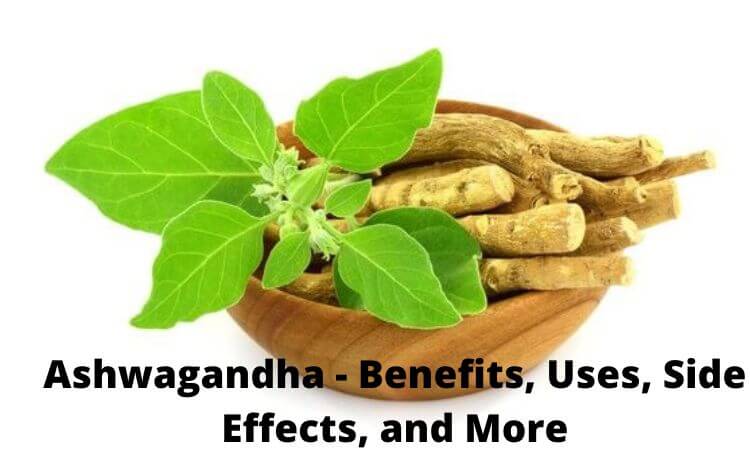 Ashwagandha - Benefits, Uses, Side Effects, and More