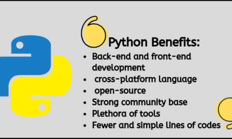 What is the Python programming language