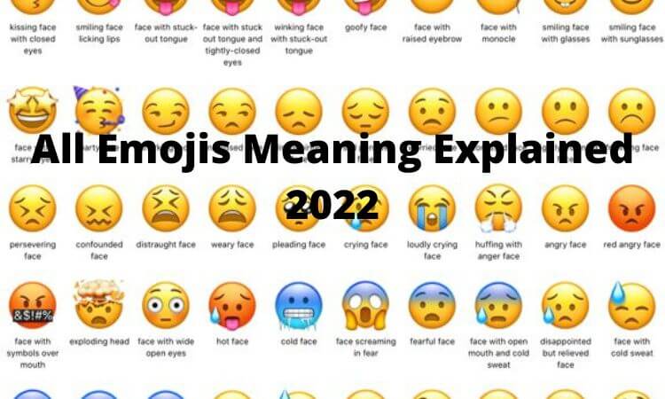 All Emojis Meaning Explained 2022