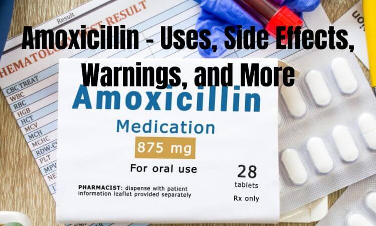 Amoxicillin - Uses, Side Effects, Warnings, and More