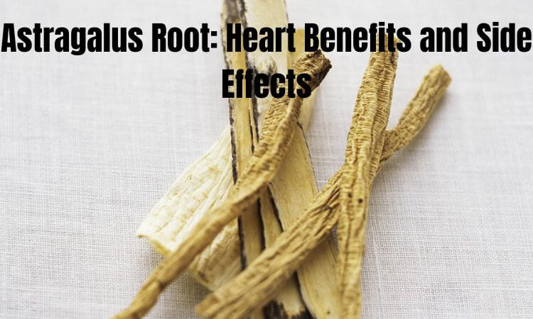 Astragalus Root Heart Benefits and Side Effects