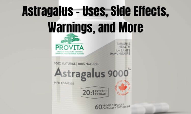 Astragalus - Uses, Side Effects, Warnings, and More