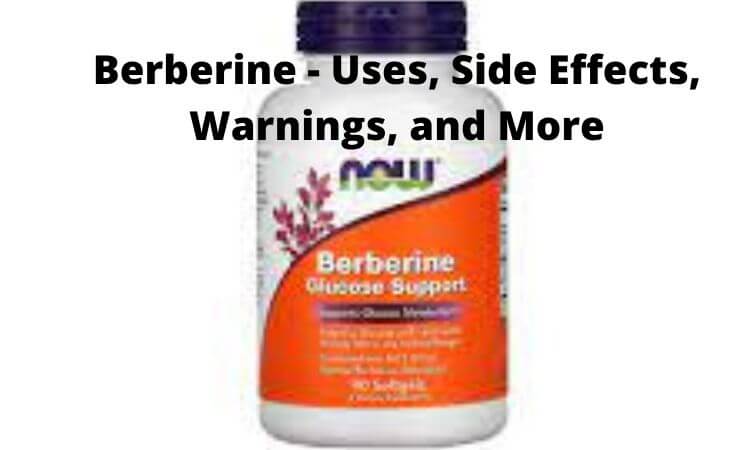 Berberine - Uses, Side Effects, Warnings, and More