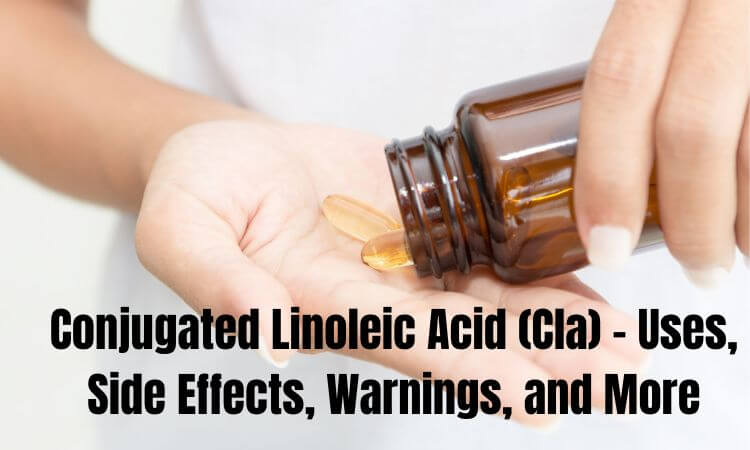 Conjugated Linoleic Acid (Cla) - Uses, Side Effects, Warnings, and More