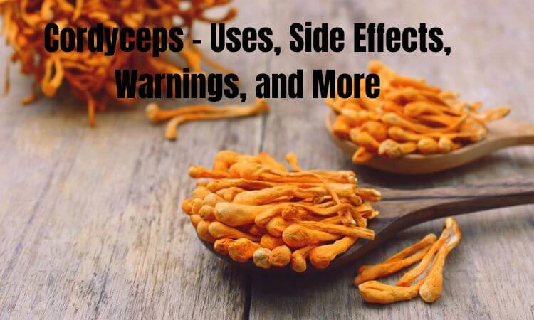 Cordyceps - Uses, Side Effects, Warnings, and More