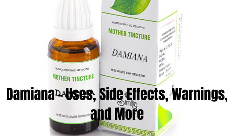 Damiana - Uses, Side Effects, Warnings, and More