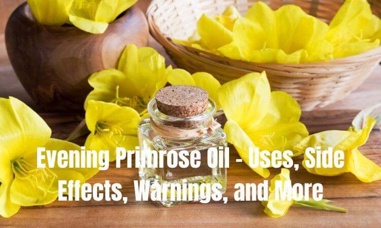 Evening Primrose Oil - Uses, Side Effects, Warnings, and More