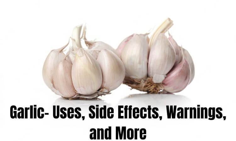 Garlic- Uses, Side Effects, Warnings, and More