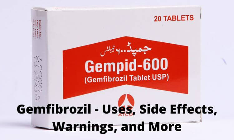 Gemfibrozil - Uses, Side Effects, Warnings, and More