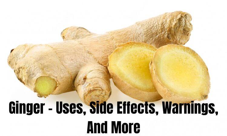 Ginger - Uses, Side Effects, Warnings, And More