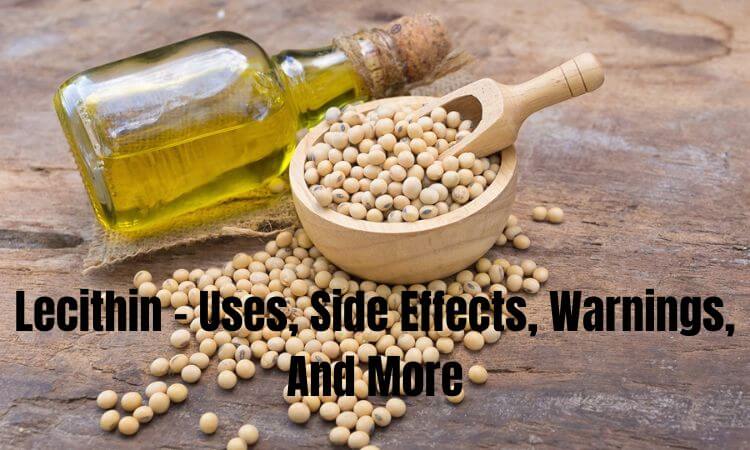 Lecithin - Uses, Side Effects, Warnings, And More