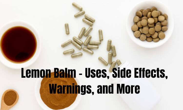 Lemon Balm - Uses, Side Effects, Warnings, and More