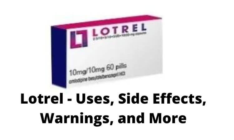 Lotrel - Uses, Side Effects, Warnings, and More