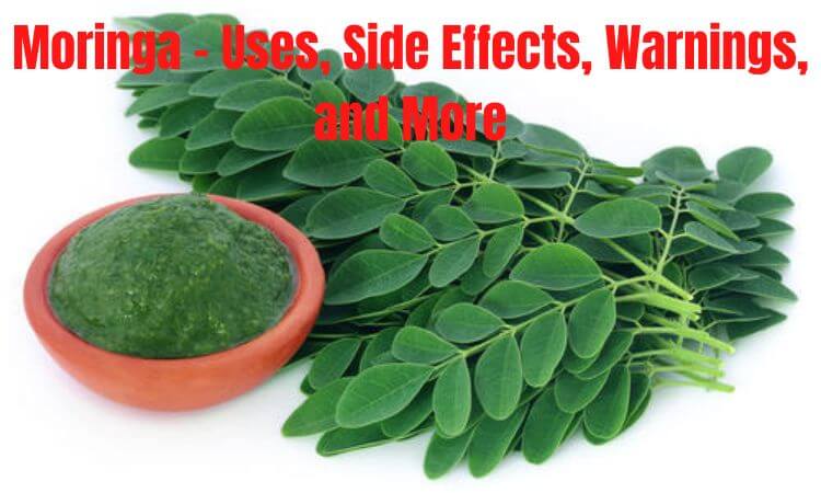 Moringa - Uses, Side Effects, Warnings, and More