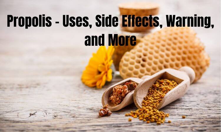 Propolis - Uses, Side Effects, Warning, and More