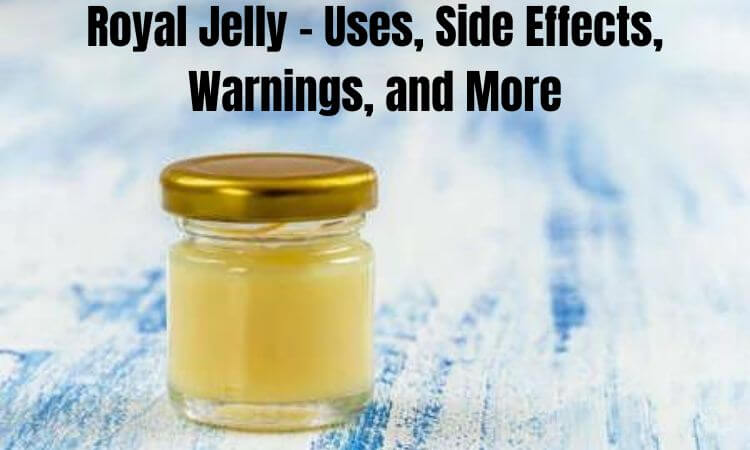 Royal Jelly - Uses, Side Effects, Warnings, and More