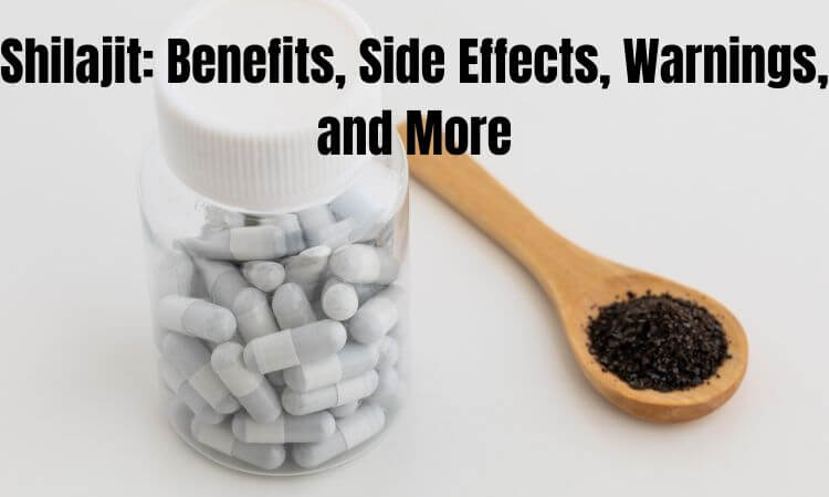 Shilajit Benefits, Side Effects, Warnings, and More