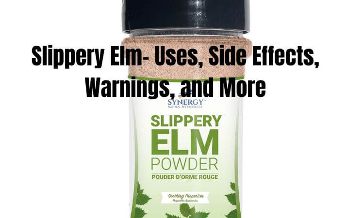 Slippery Elm- Uses, Side Effects, Warnings, and More
