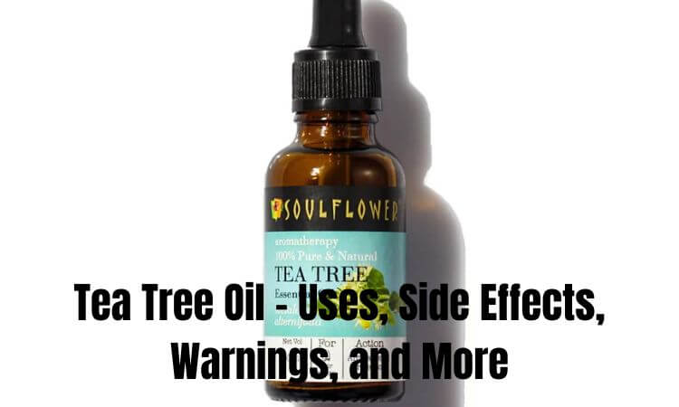 Tea Tree Oil - Uses, Side Effects, Warnings, and More