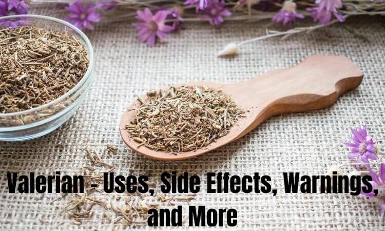 Valerian - Uses, Side Effects, Warnings, and More