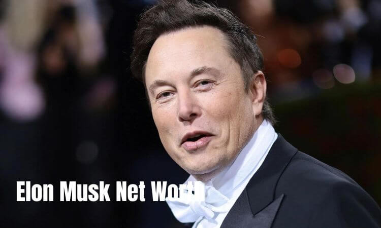 How much is Elon Musk Net Worth in 2023