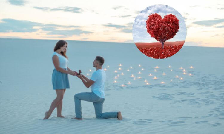 Here’s The Best Ways to Propose a Girl on Valentine Day 2023