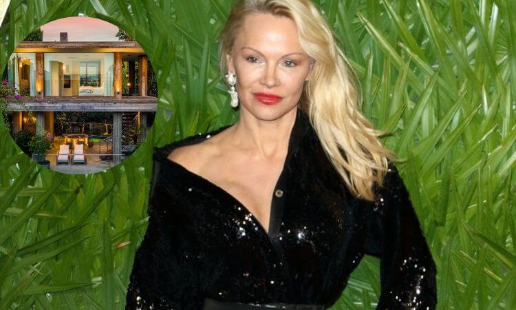 How much is Pamela Anderson Net Worth in 2024