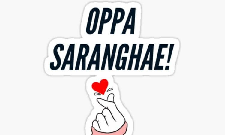 What Does Oppa Saranghae Mean