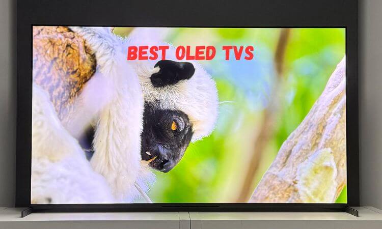 Best OLED TVs in 2026
