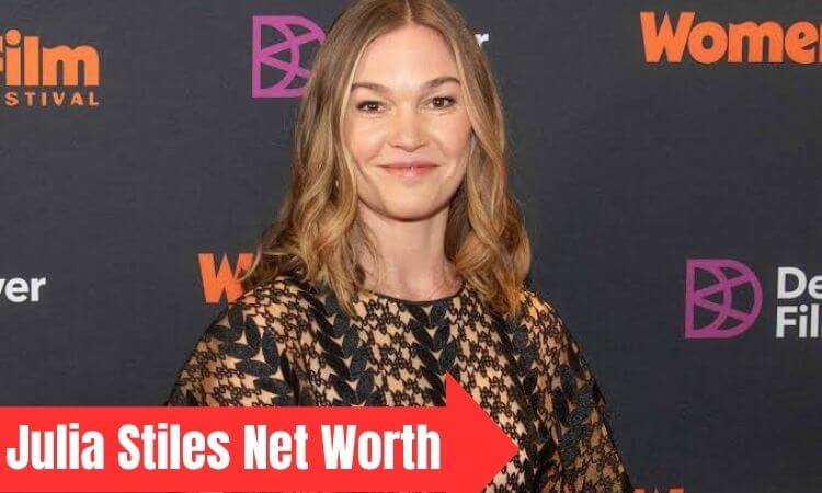 How much is Julia Stiles Net Worth