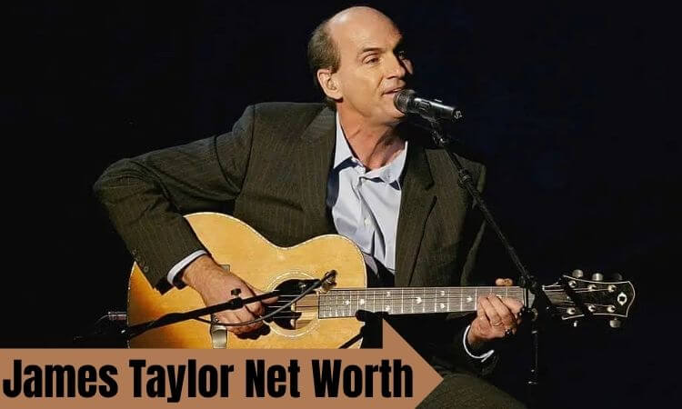 James Taylor Net Worth How Rich Is the Legendary Singer