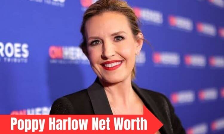How much is Poppy Harlow Net Worth